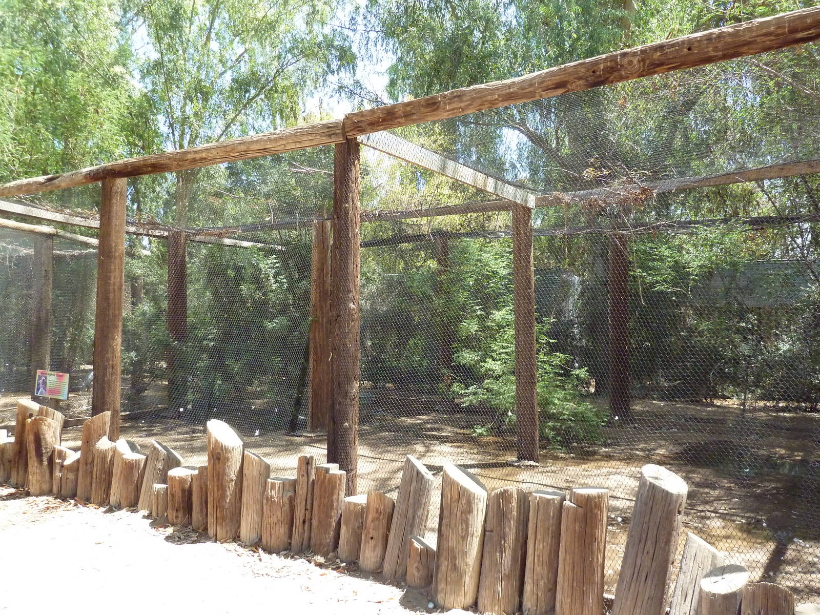 White-Naped Crane Exhibit