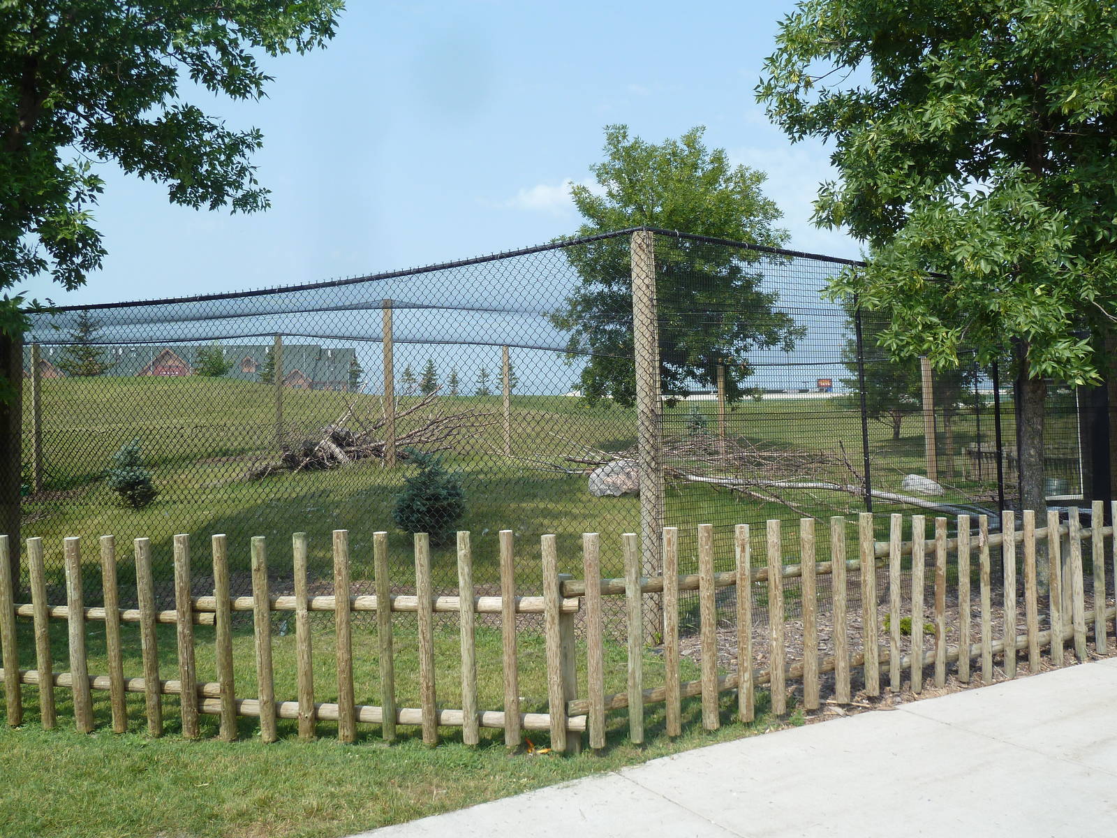White-Naped Crane Exhibit