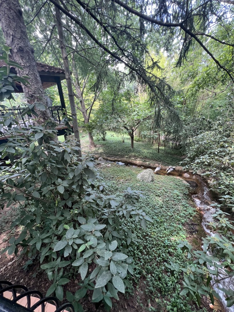 White-Naped Crane Exhibit