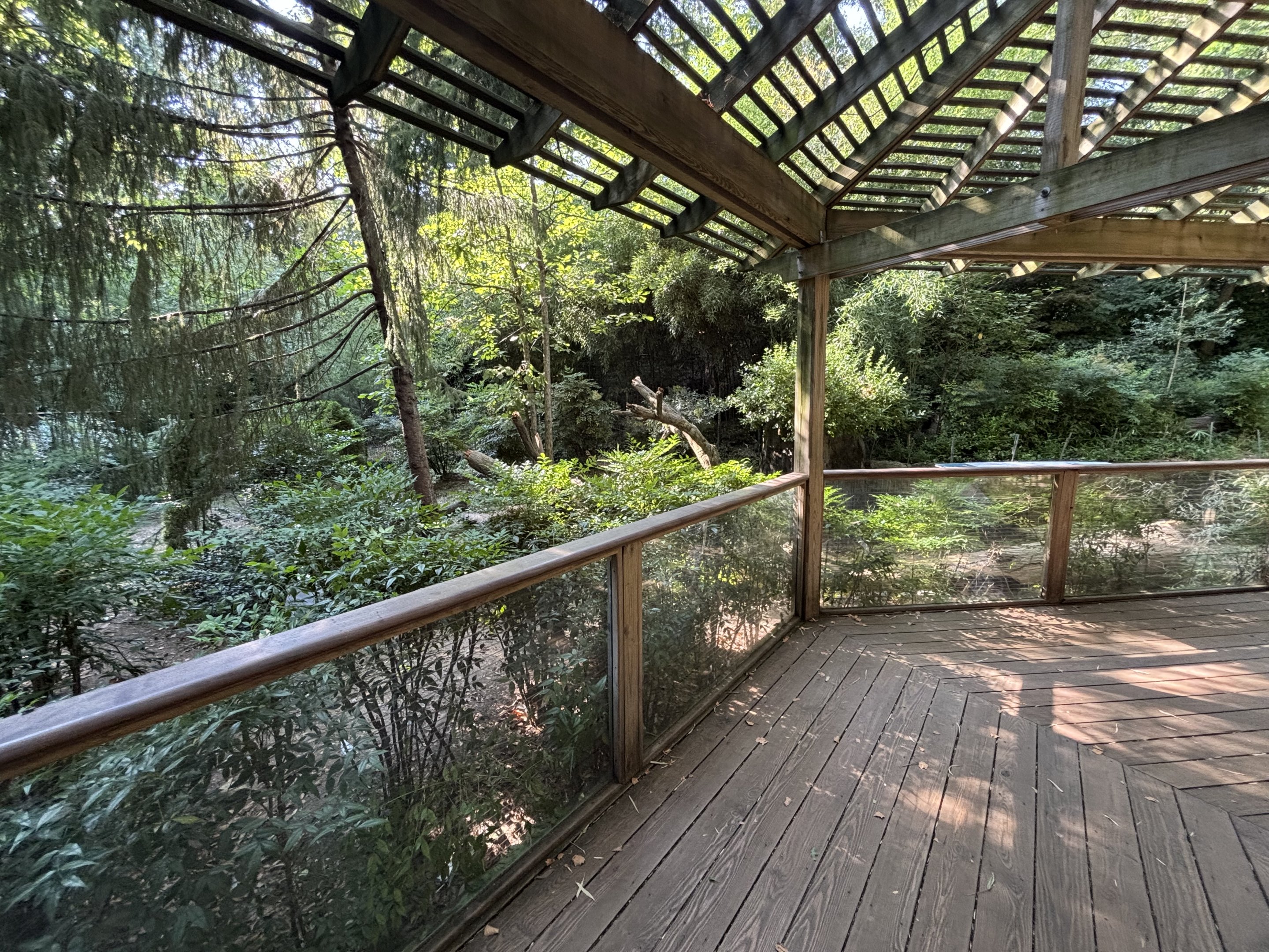 White-naped Crane Exhibit