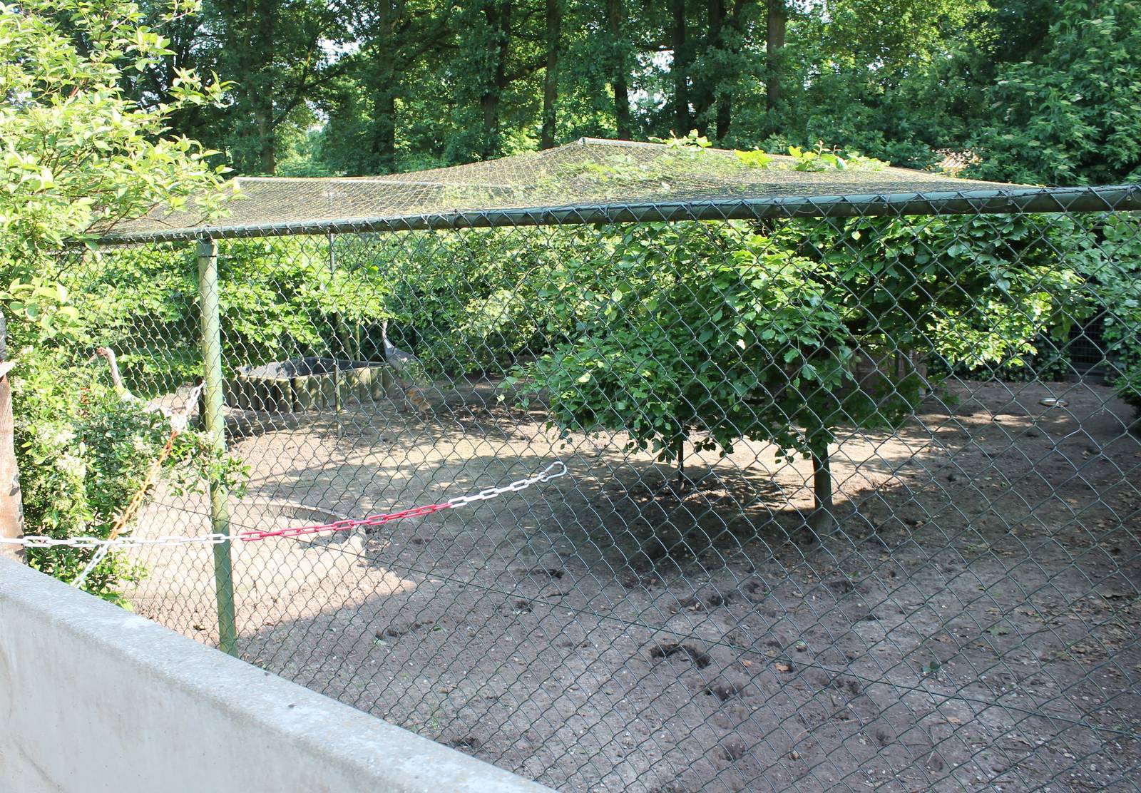 White-necked crane enclosure