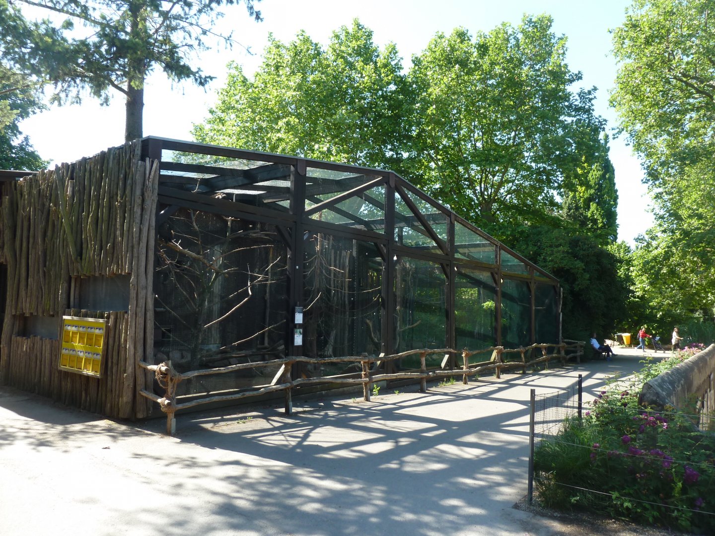 White-necked raven & Hooded vulture aviary