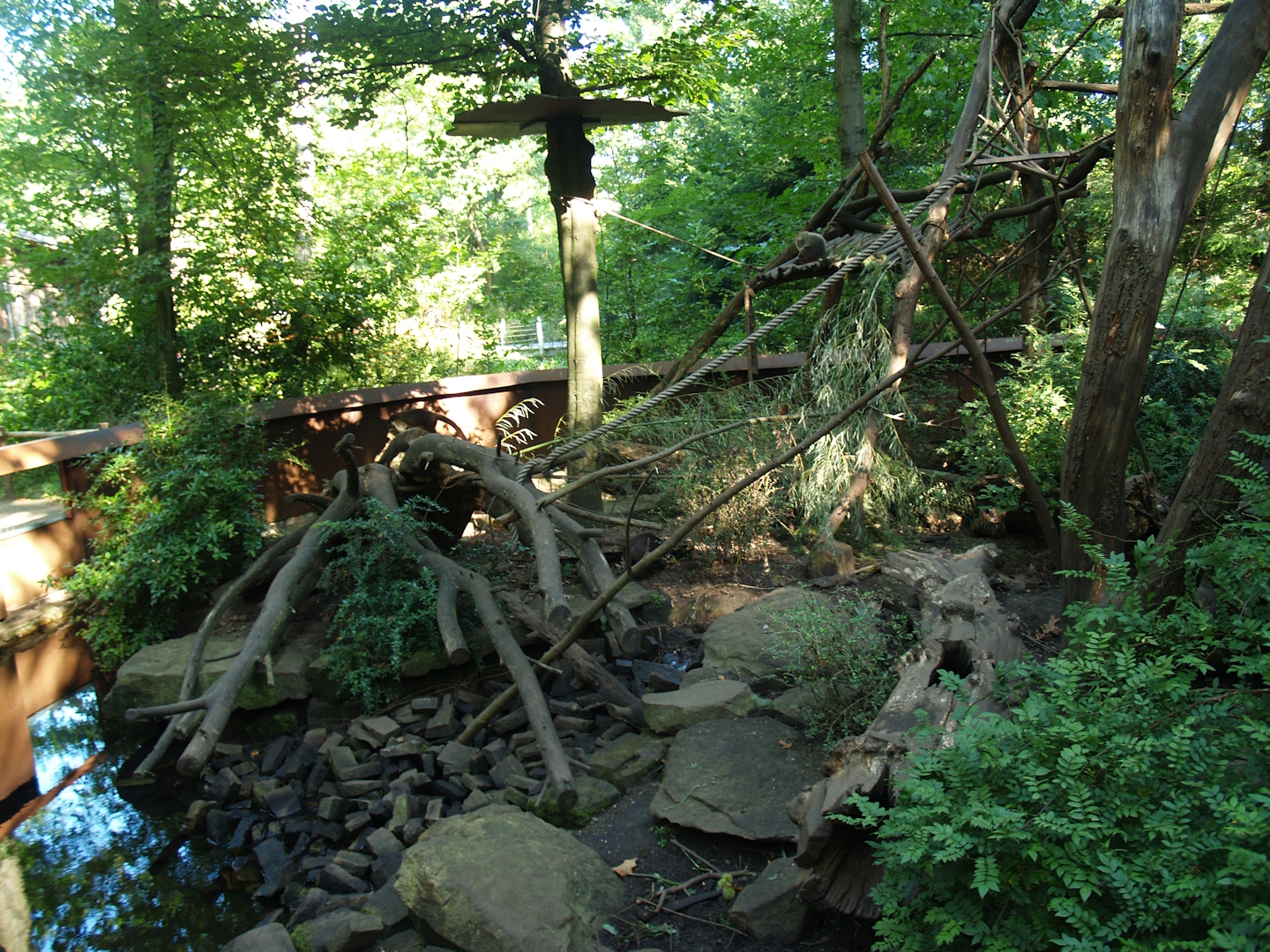 White-nosed coati exhibit (now gone), 2007-09-16