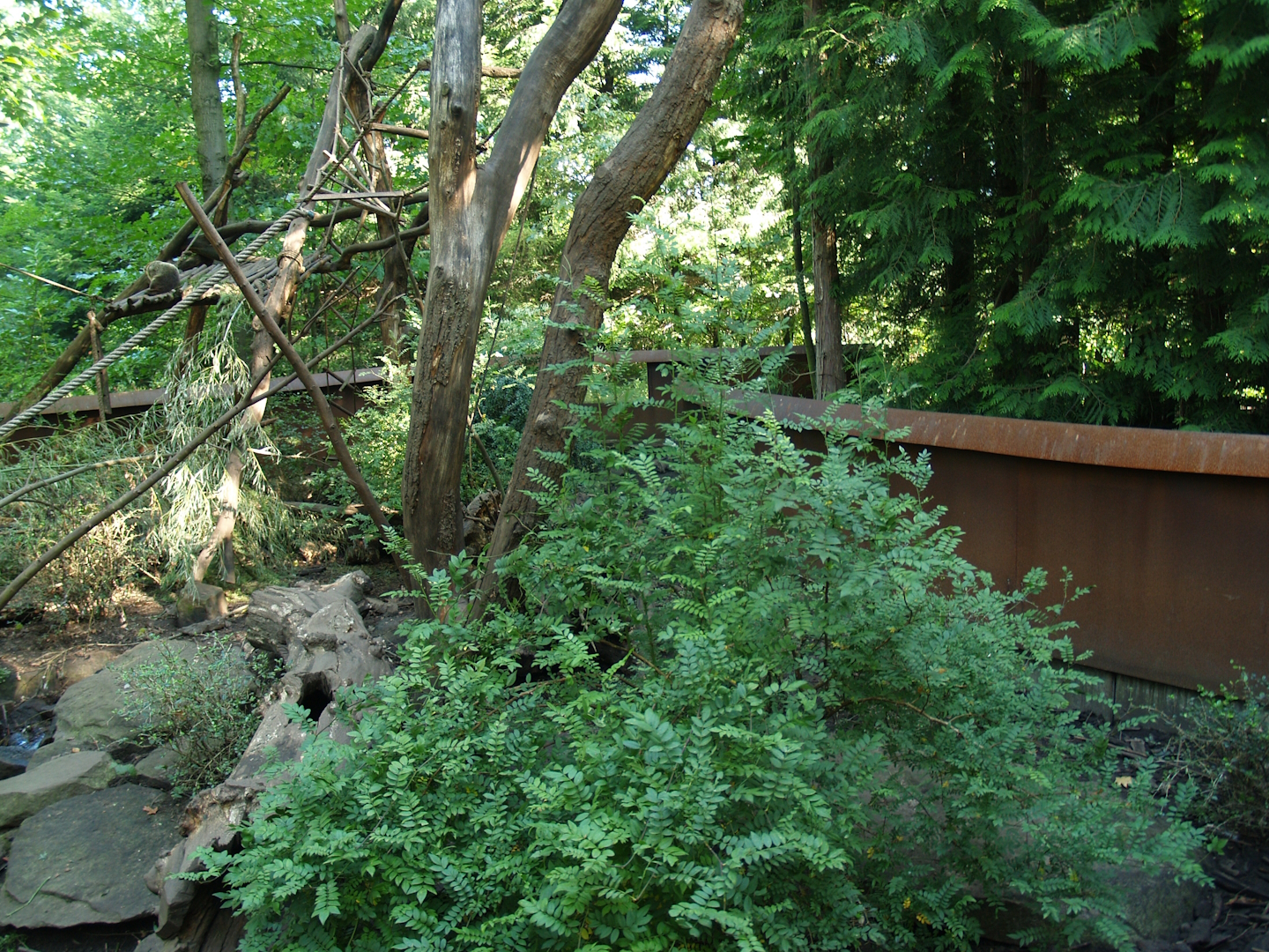 White-nosed coati exhibit (now gone), 2007-09-16