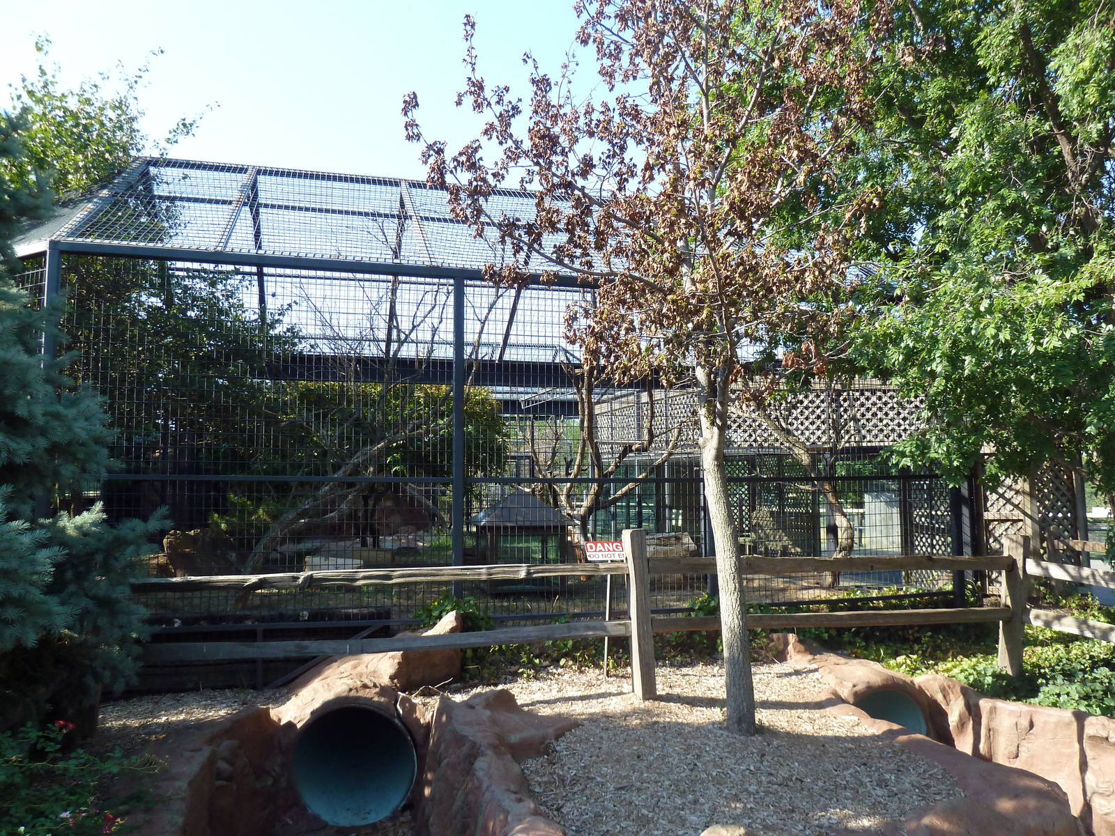 White-Nosed Coati Exhibit