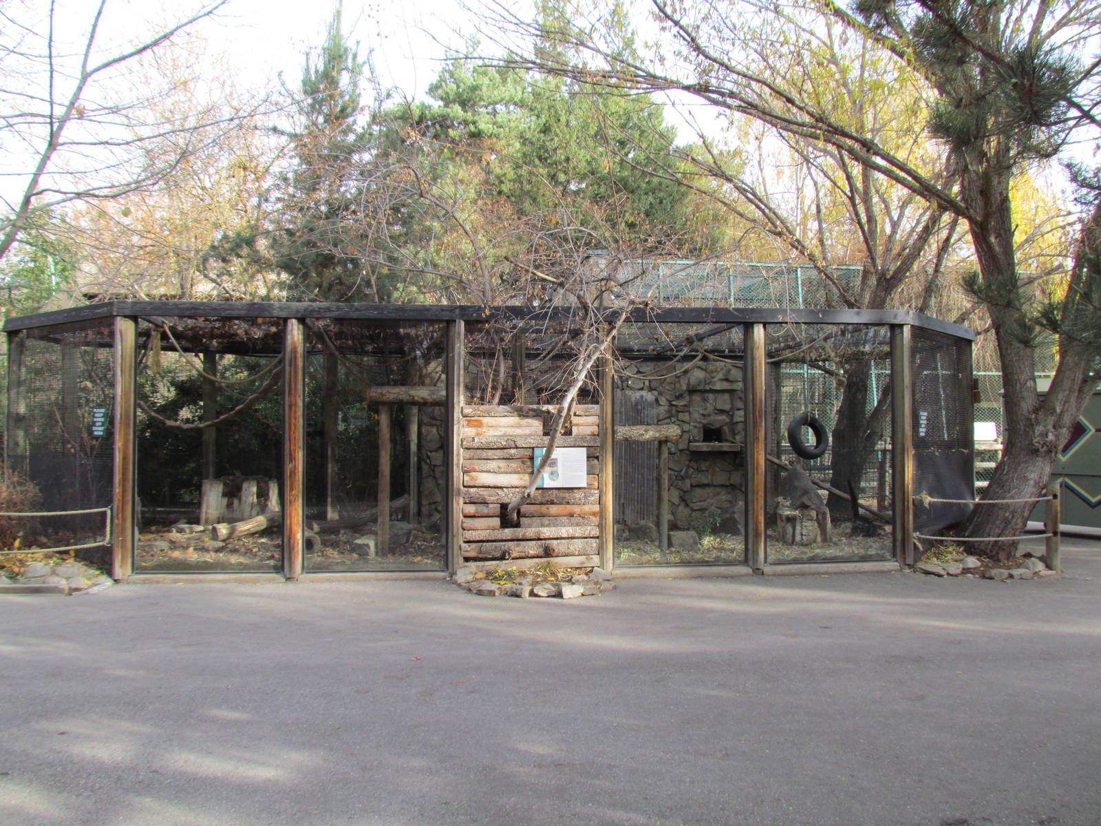 White-nosed Coati Exhibit