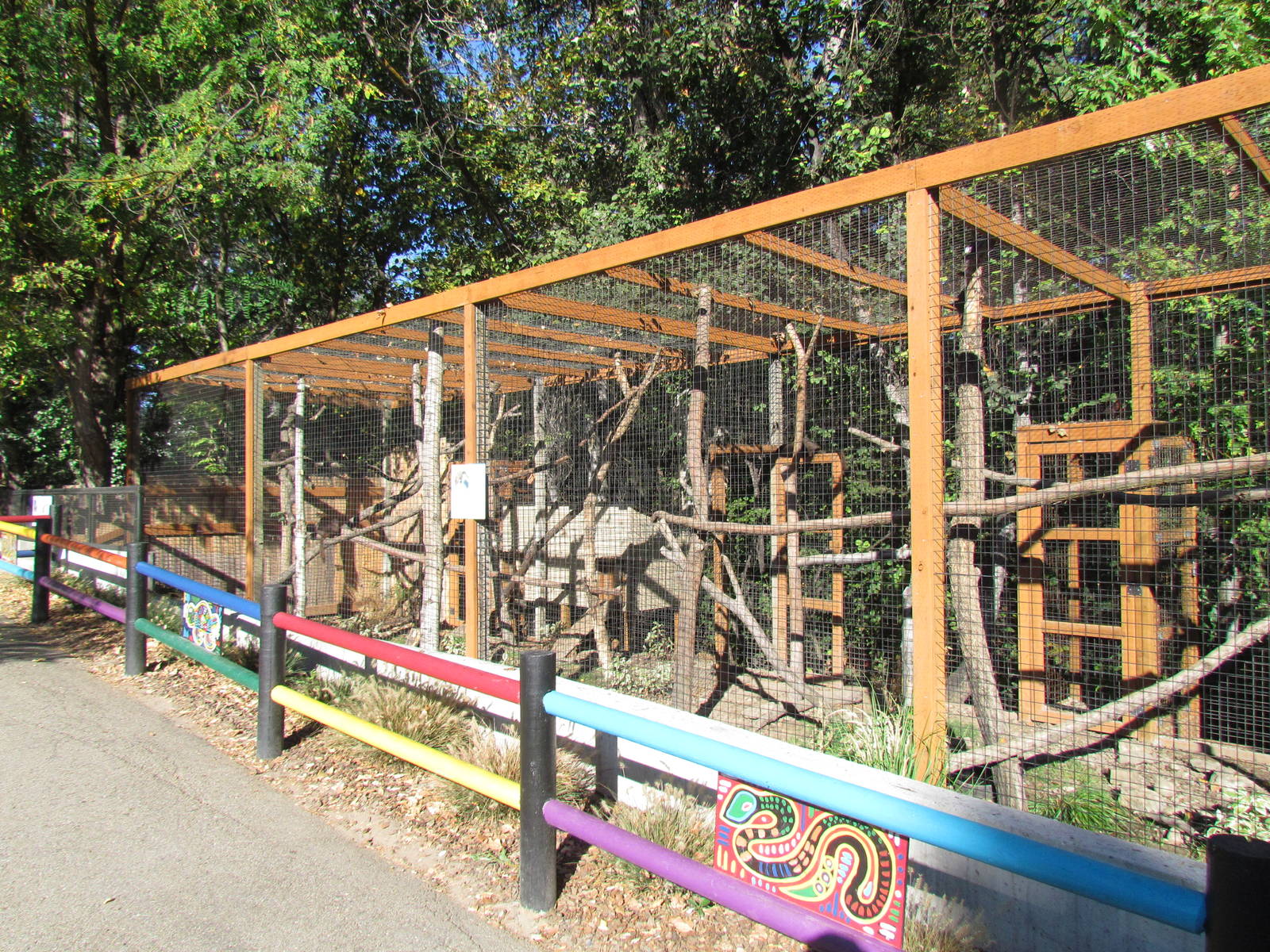 White-nosed Coati Exhibit