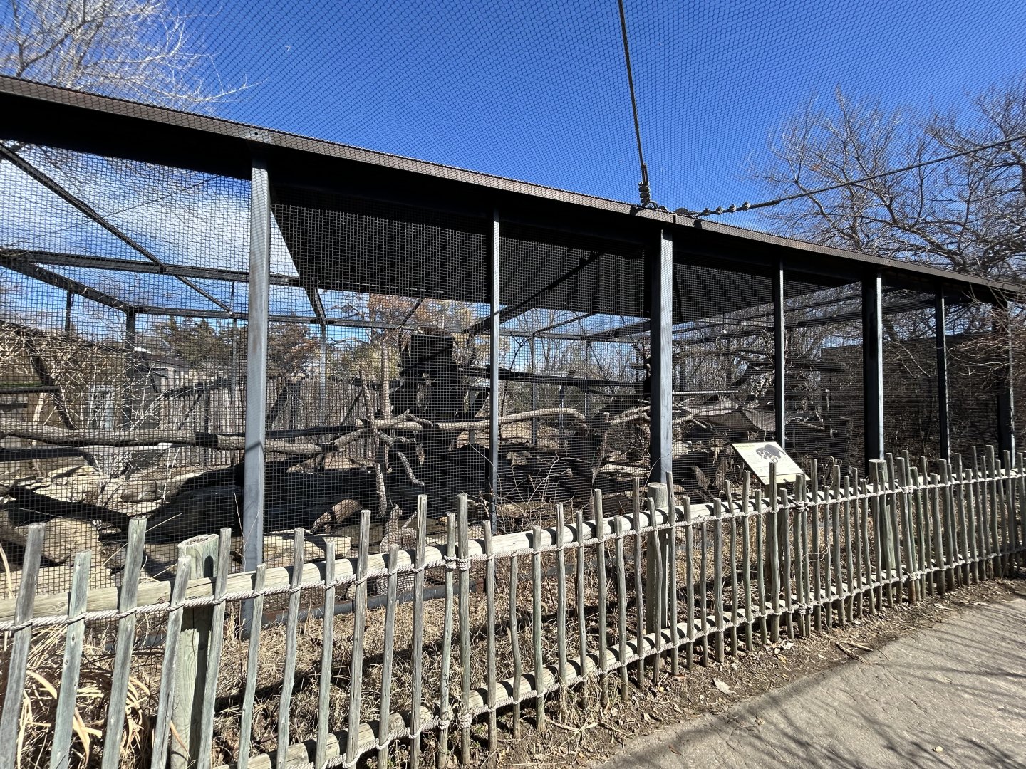 White-nosed Coati Habitat