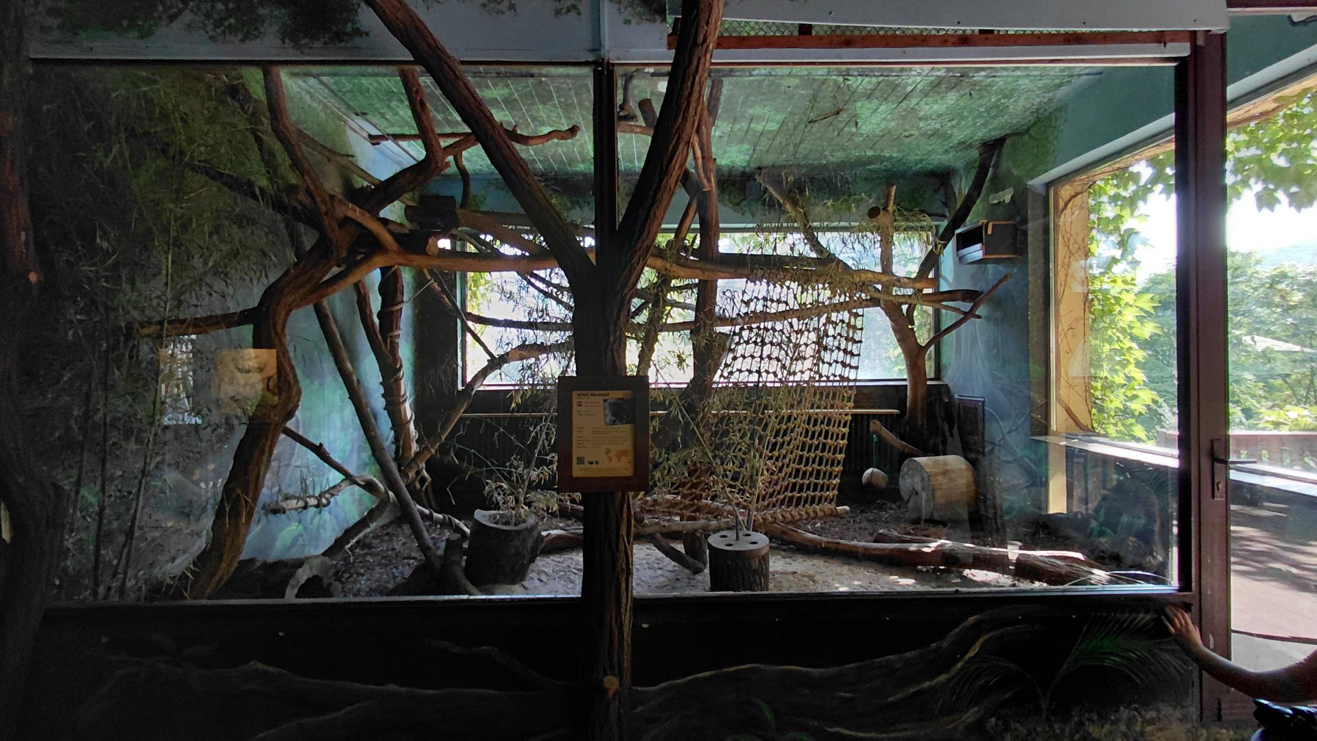 White-nosed coati indoor exhibit