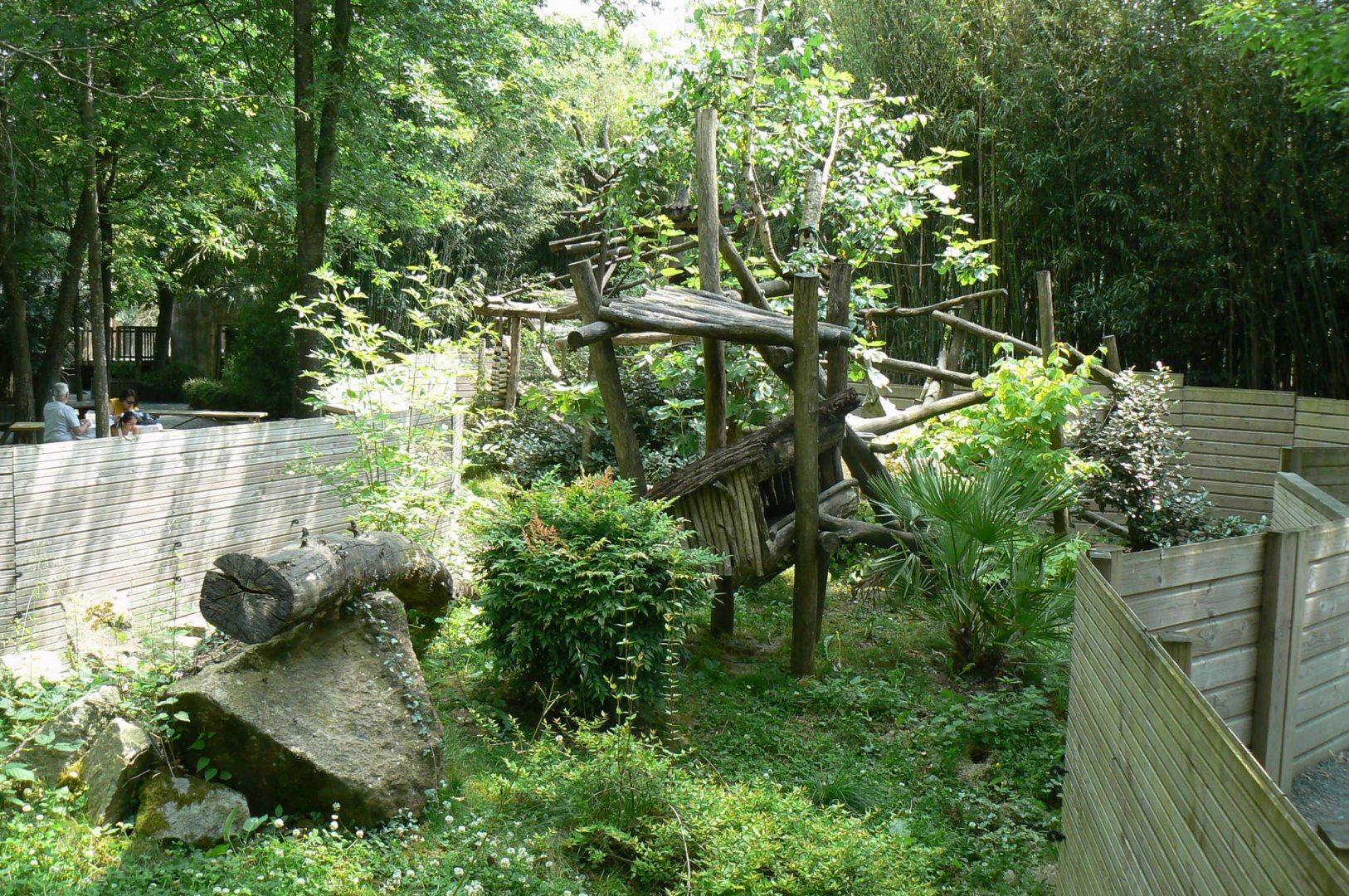 White-nosed coatis exhibit