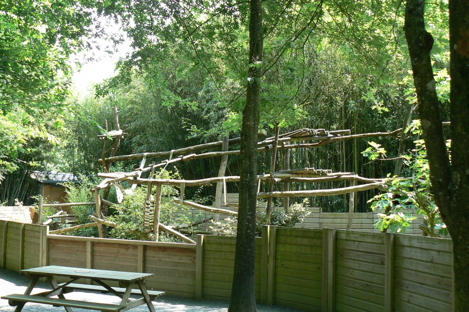 White-nosed coatis exhibit