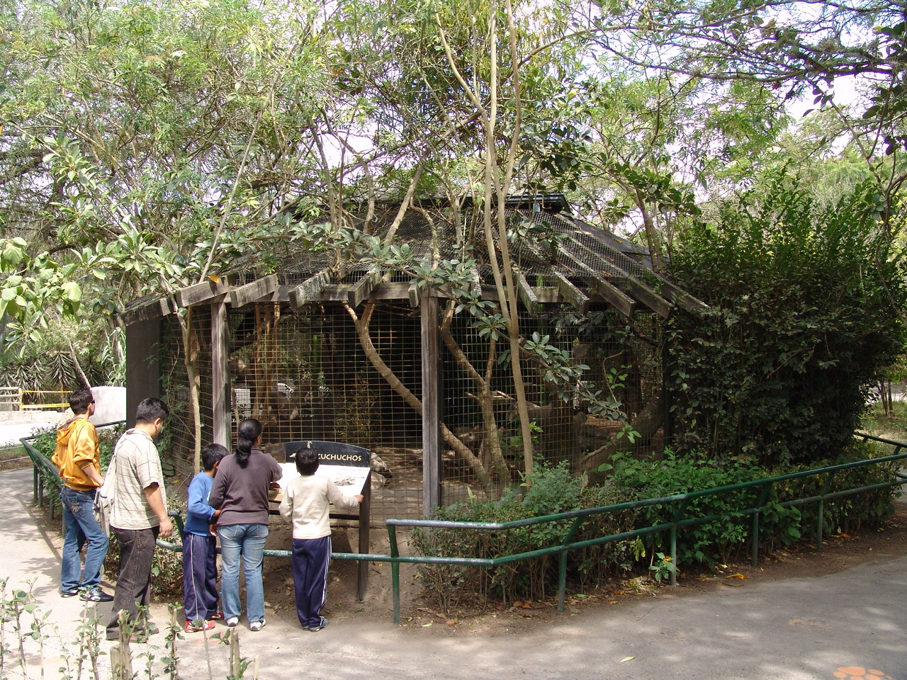 White-nosed Coatis' (Nasua narica) enclosure