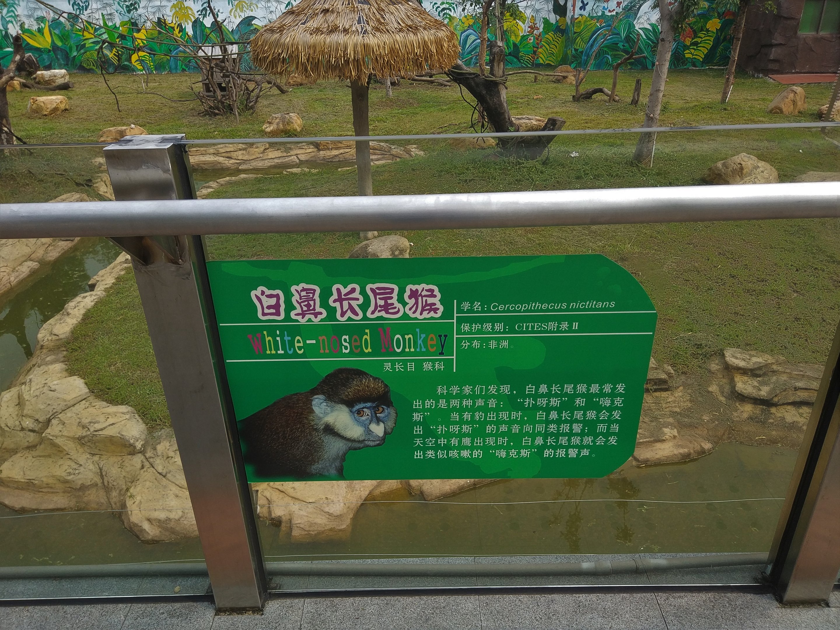 White-nosed Monkey Signage