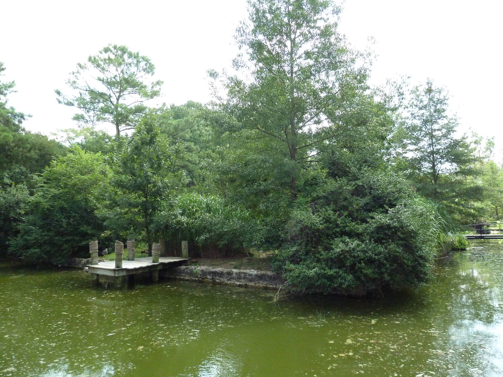 White Pelican/Crested Screamer Exhibit