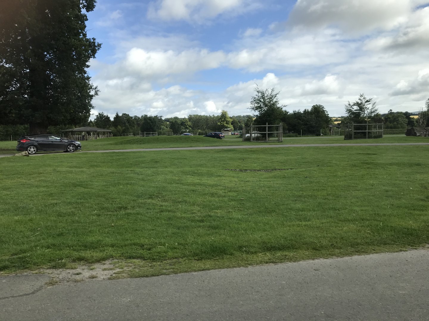 White rhino, antelope, and cattle drive thru enclosure