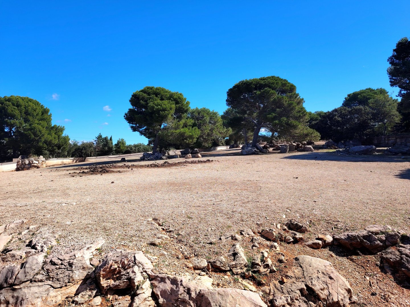 White Rhino, Blue Wildebeest and Beisa Exhibit
