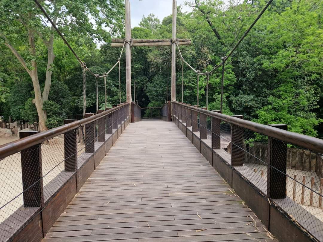 White Rhino bridge separate the two exhibits