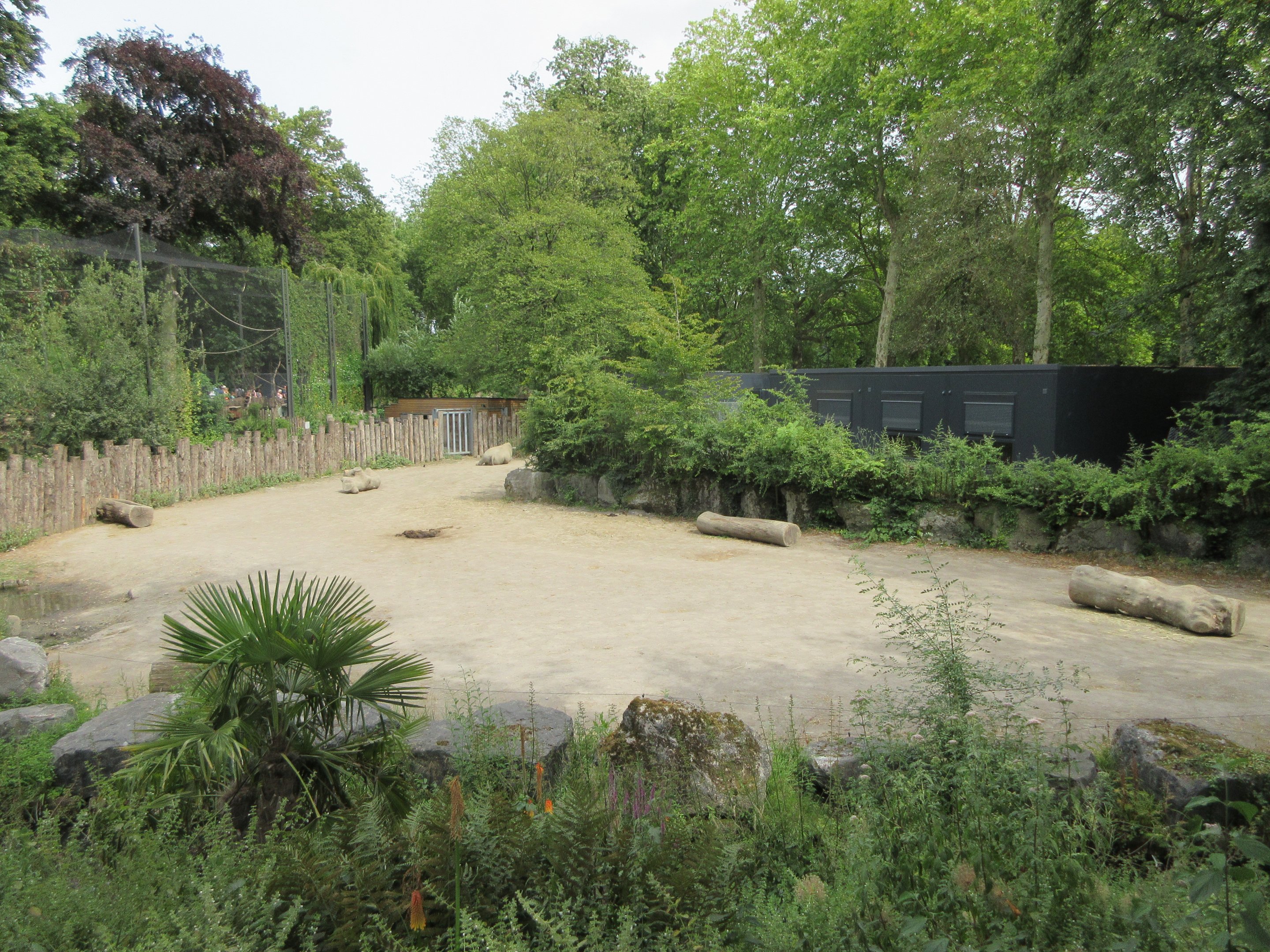 White Rhino/Burchell's Zebra Exhibit (50% of it)