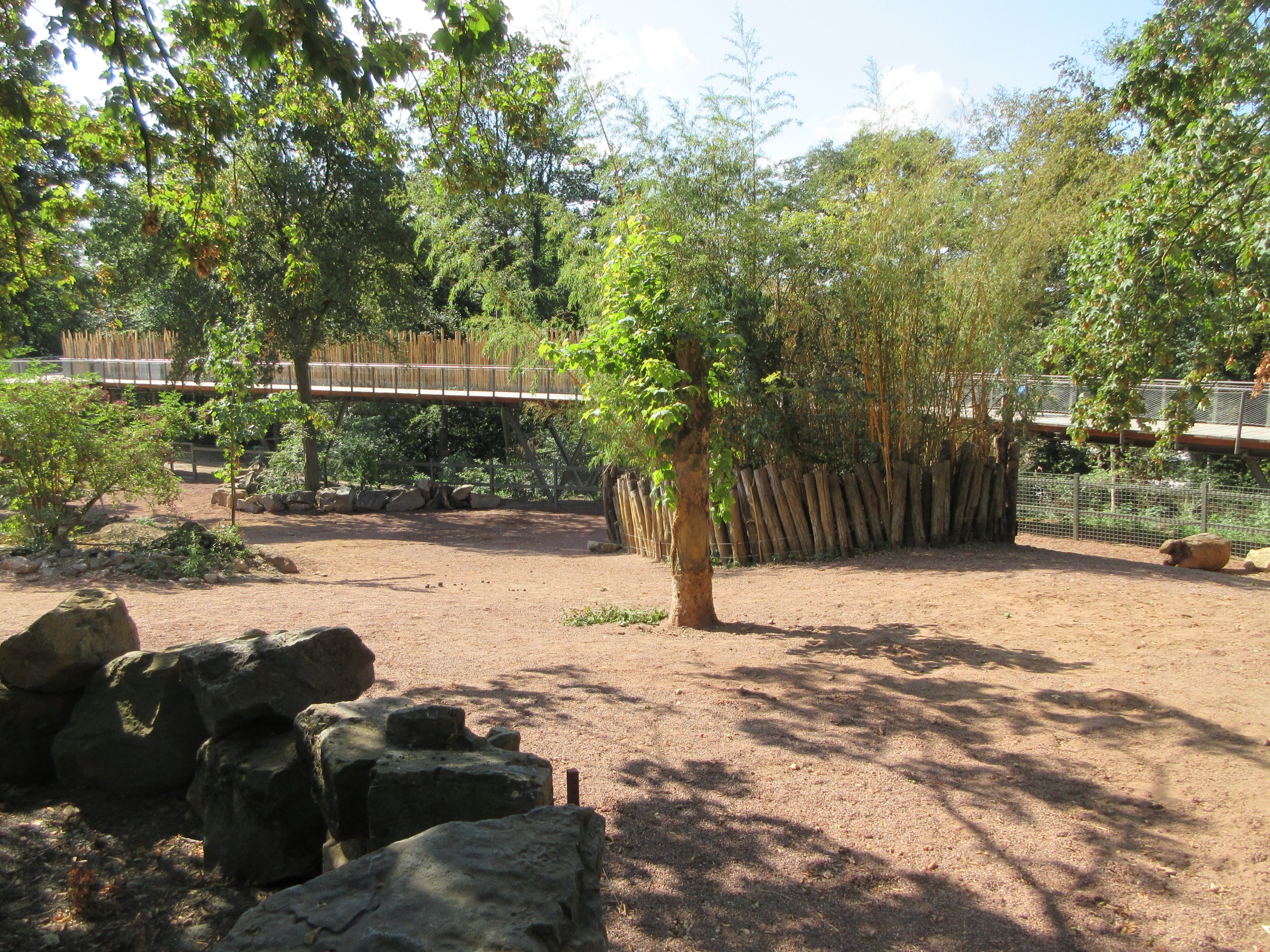 White Rhino/Chapman's Zebra/Red River Hog Exhibit