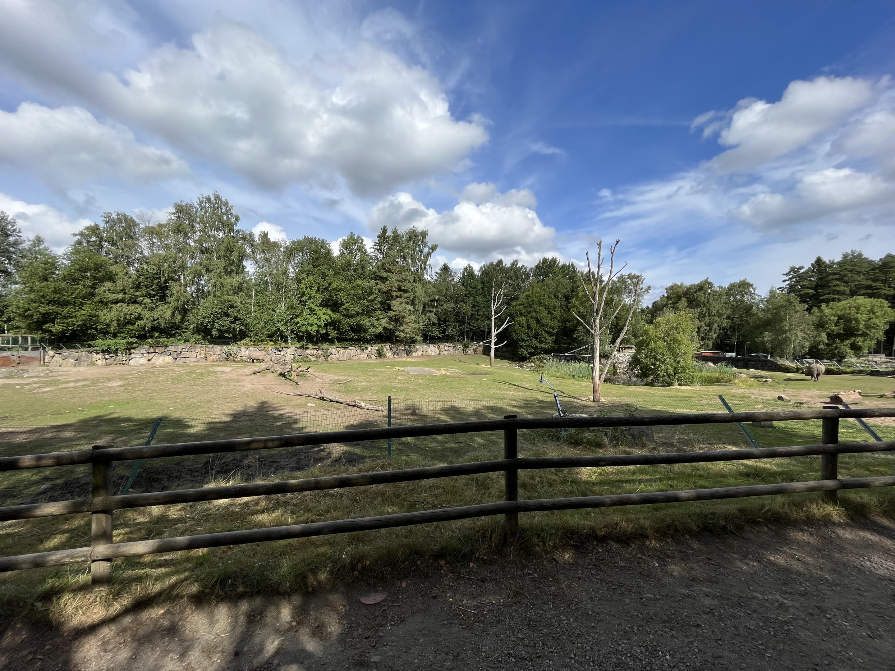 White Rhino/Cheetah Exhibit