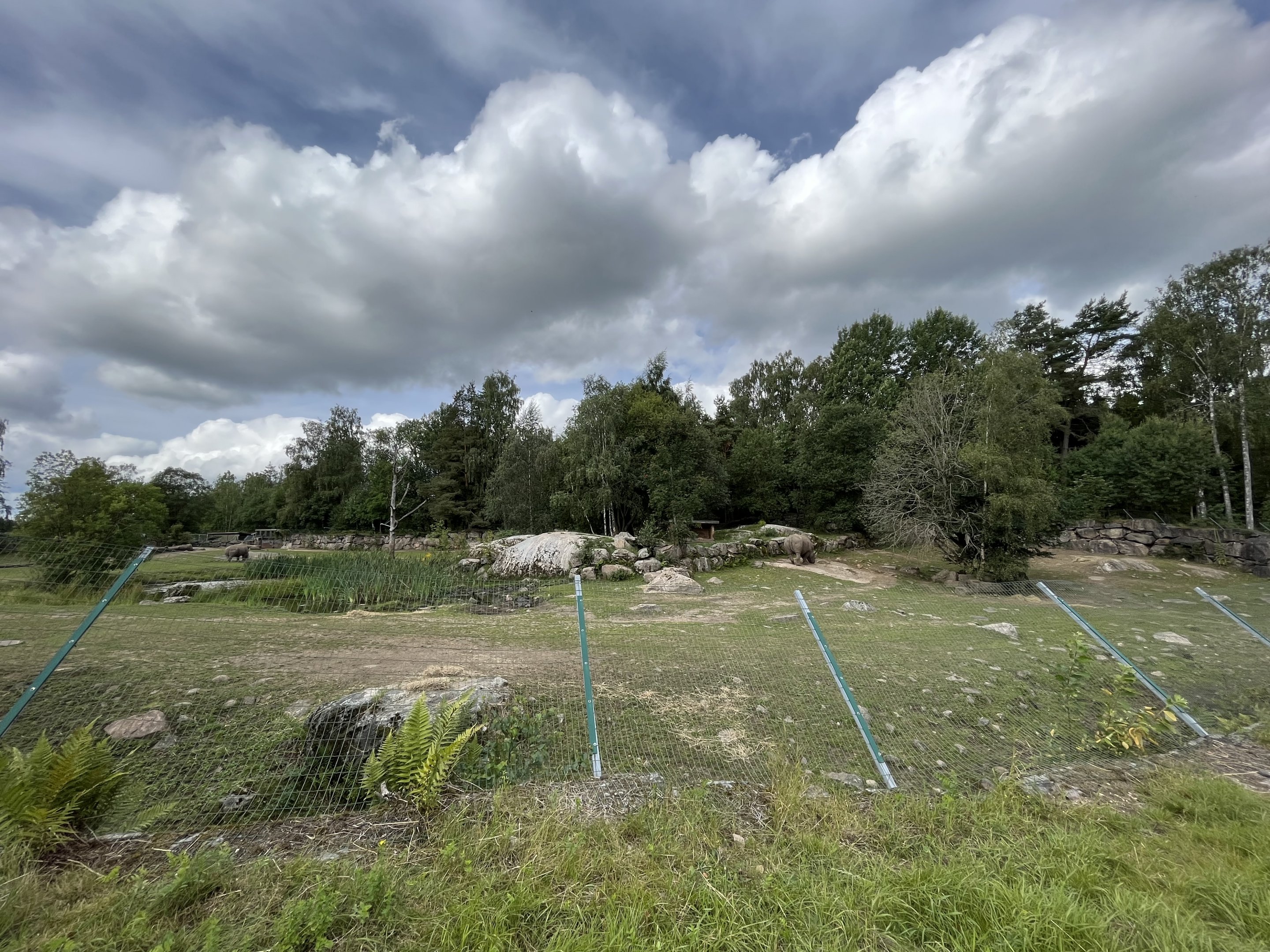 White Rhino/Cheetah Exhibit