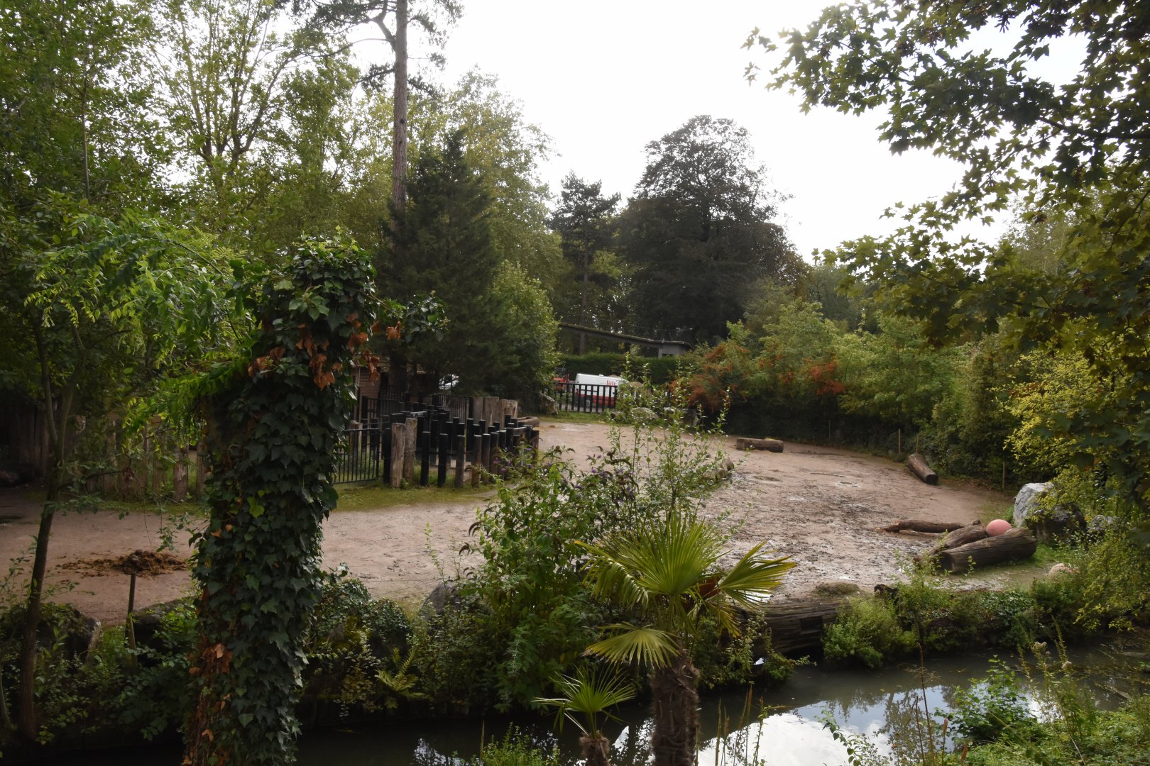 White Rhino enclosure - right side