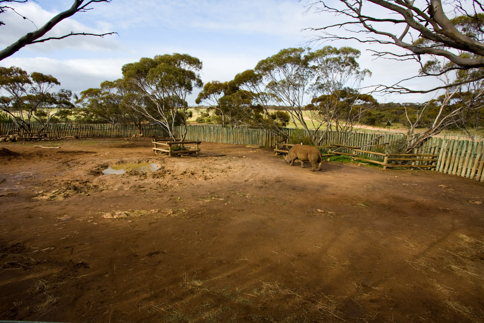 White Rhino enclosure - Sep 2008