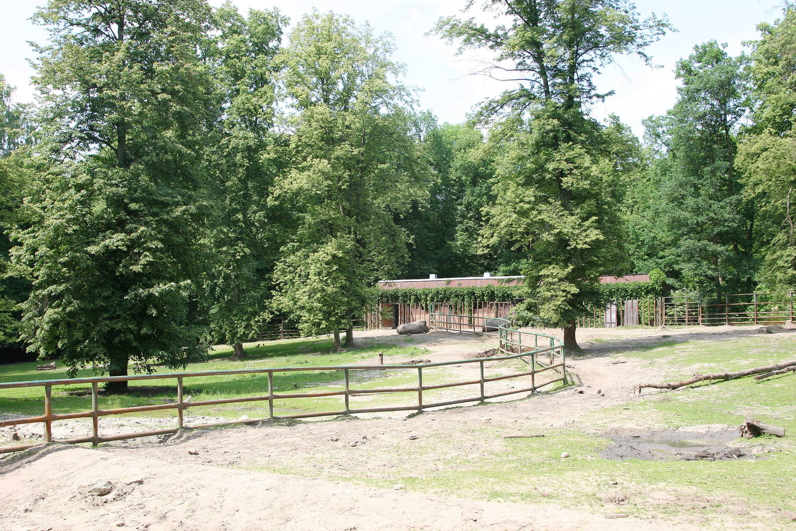 White Rhino enclosure