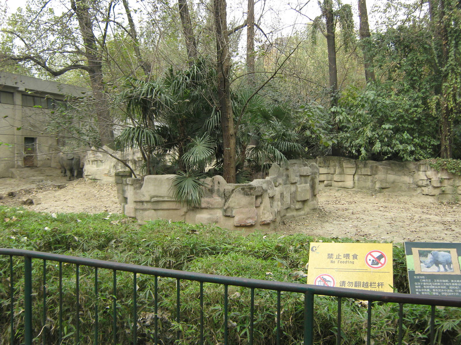 white rhino enclosure