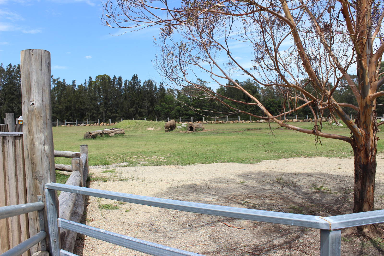 White Rhino enclosure