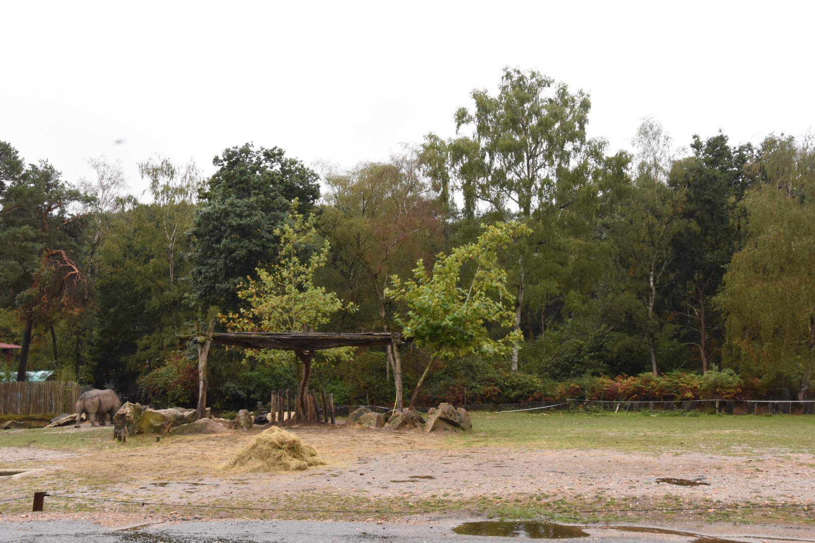 White Rhino enclosure