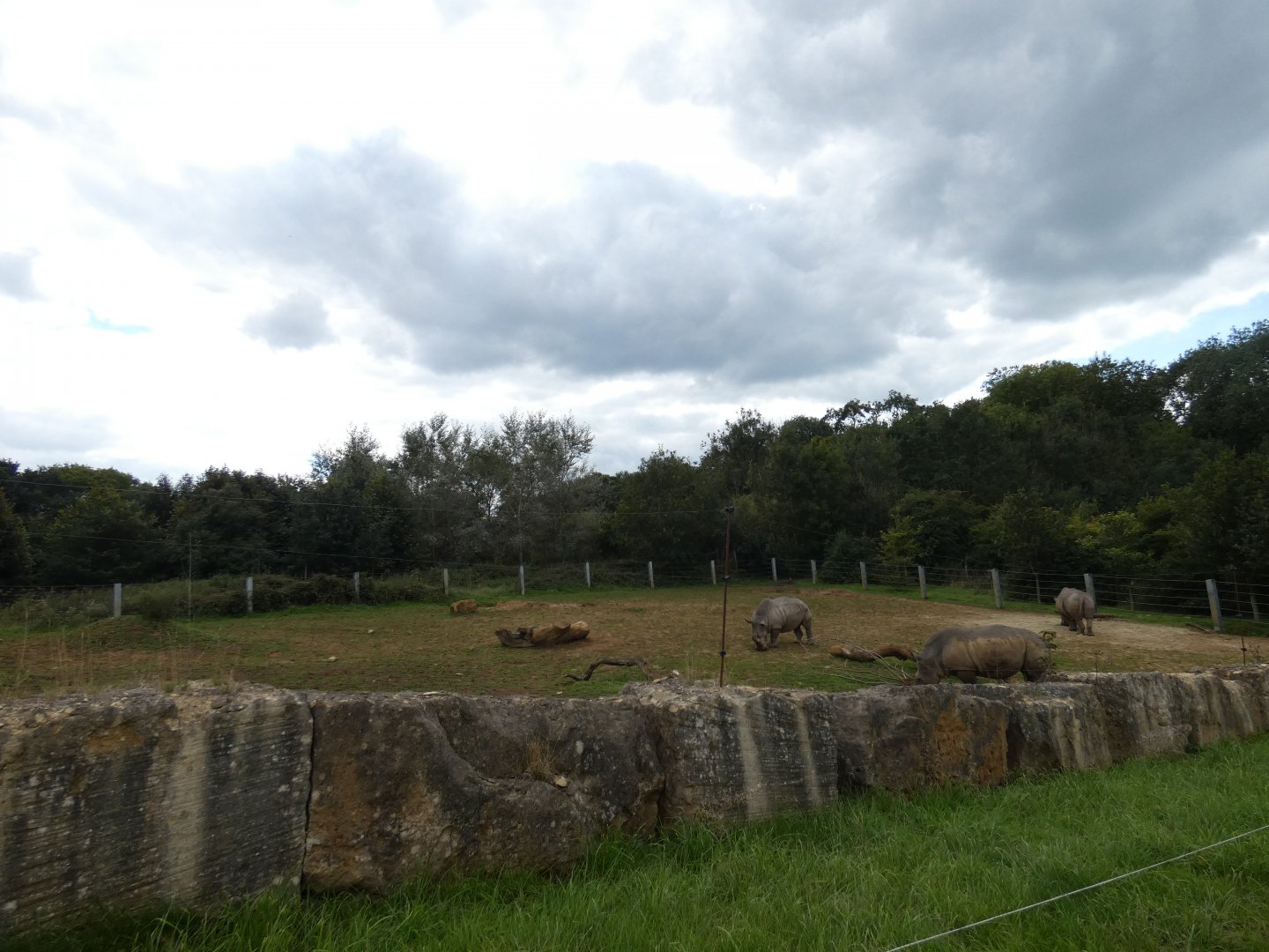 White Rhino enclosure