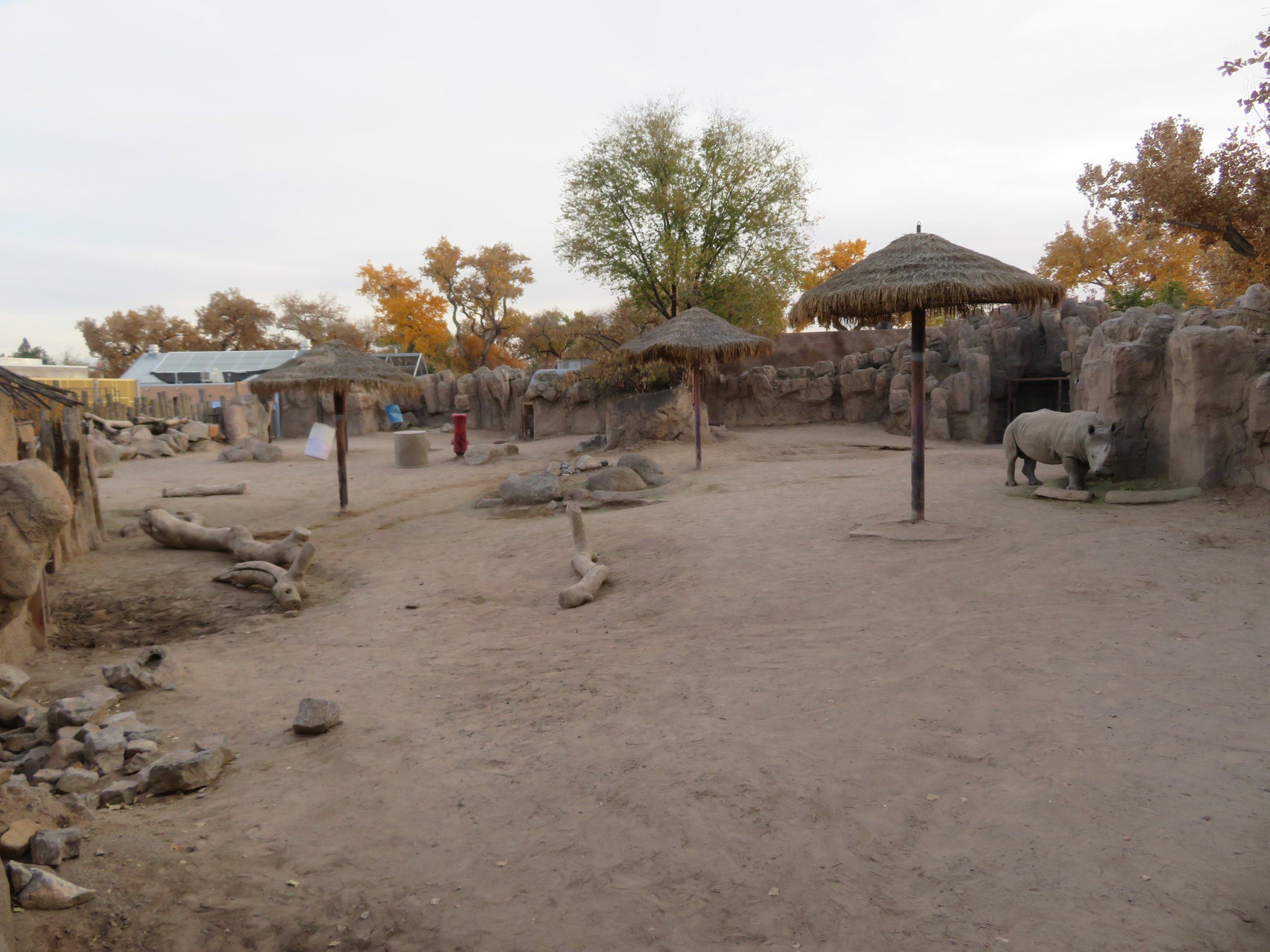 White Rhino Enclosure