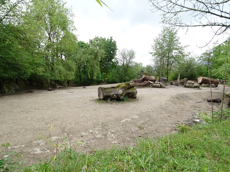 White rhino enclosure