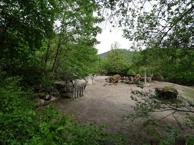 White rhino enclosure