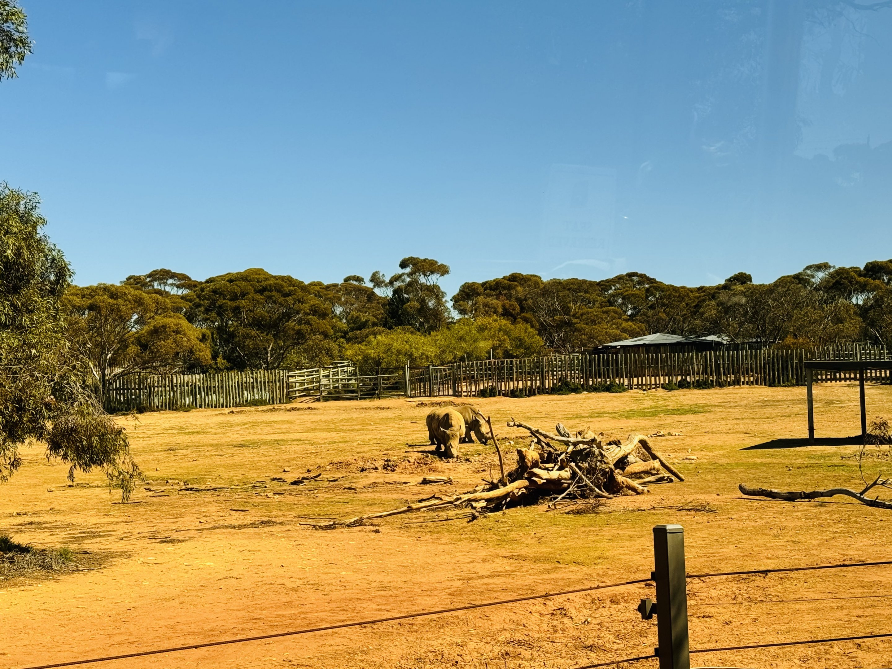 White rhino enclosure