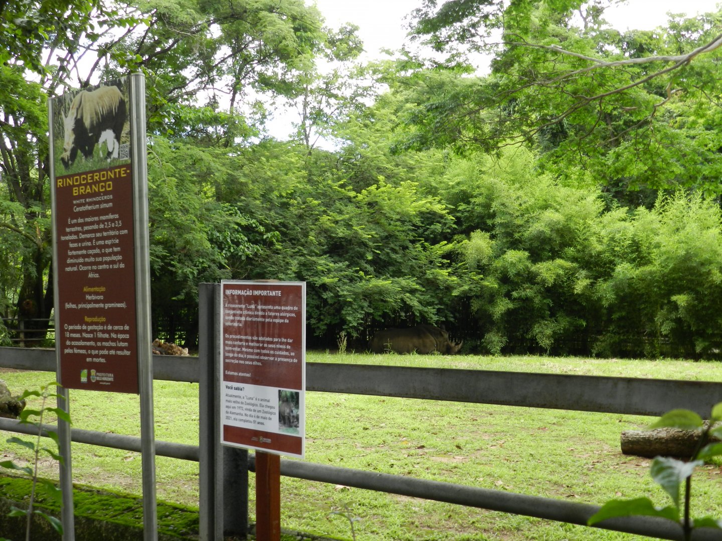 White rhino exhibit and signage - Belo Horizonte zoo