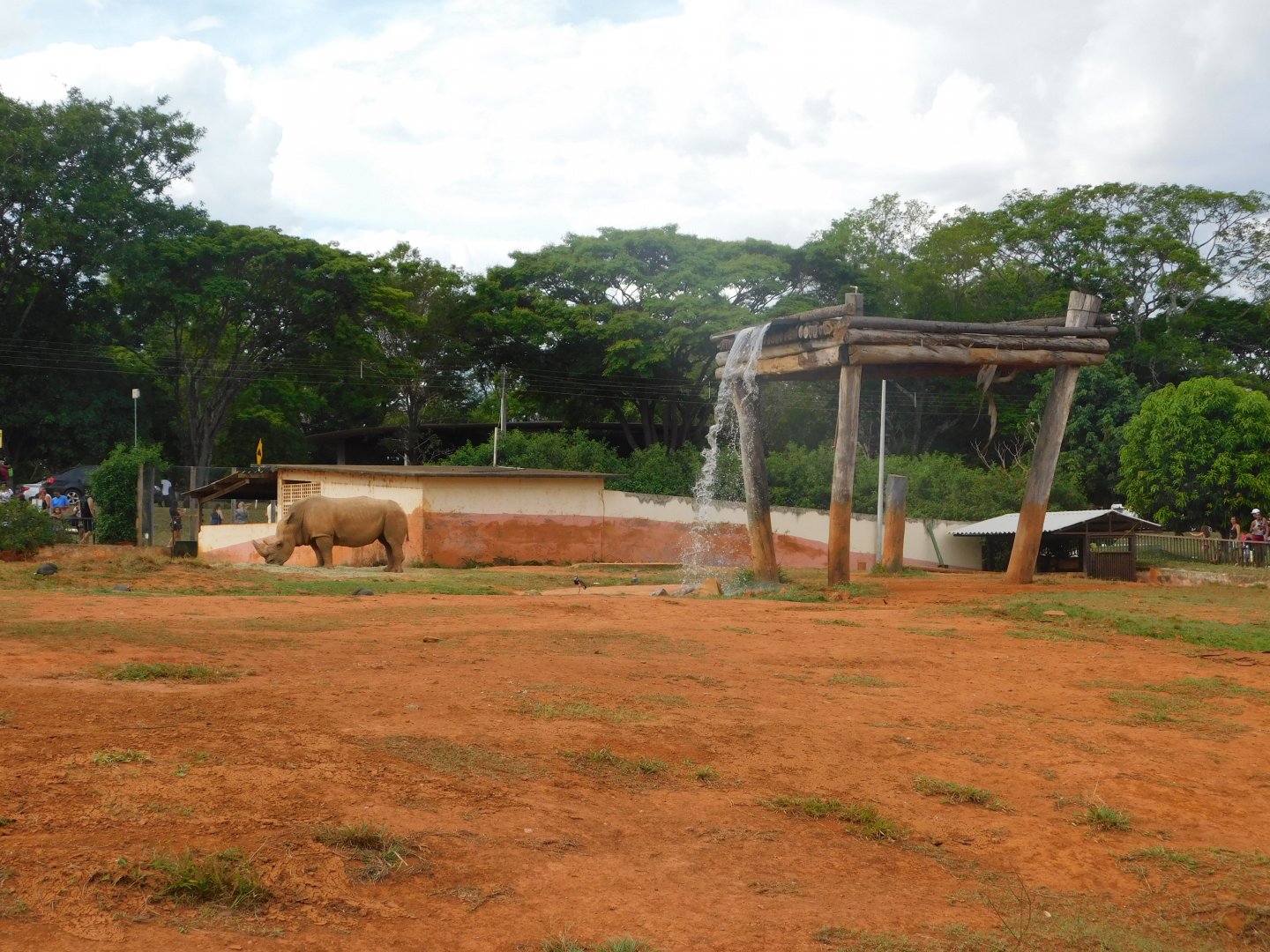 White-rhino exhibit - Brasilia zoo