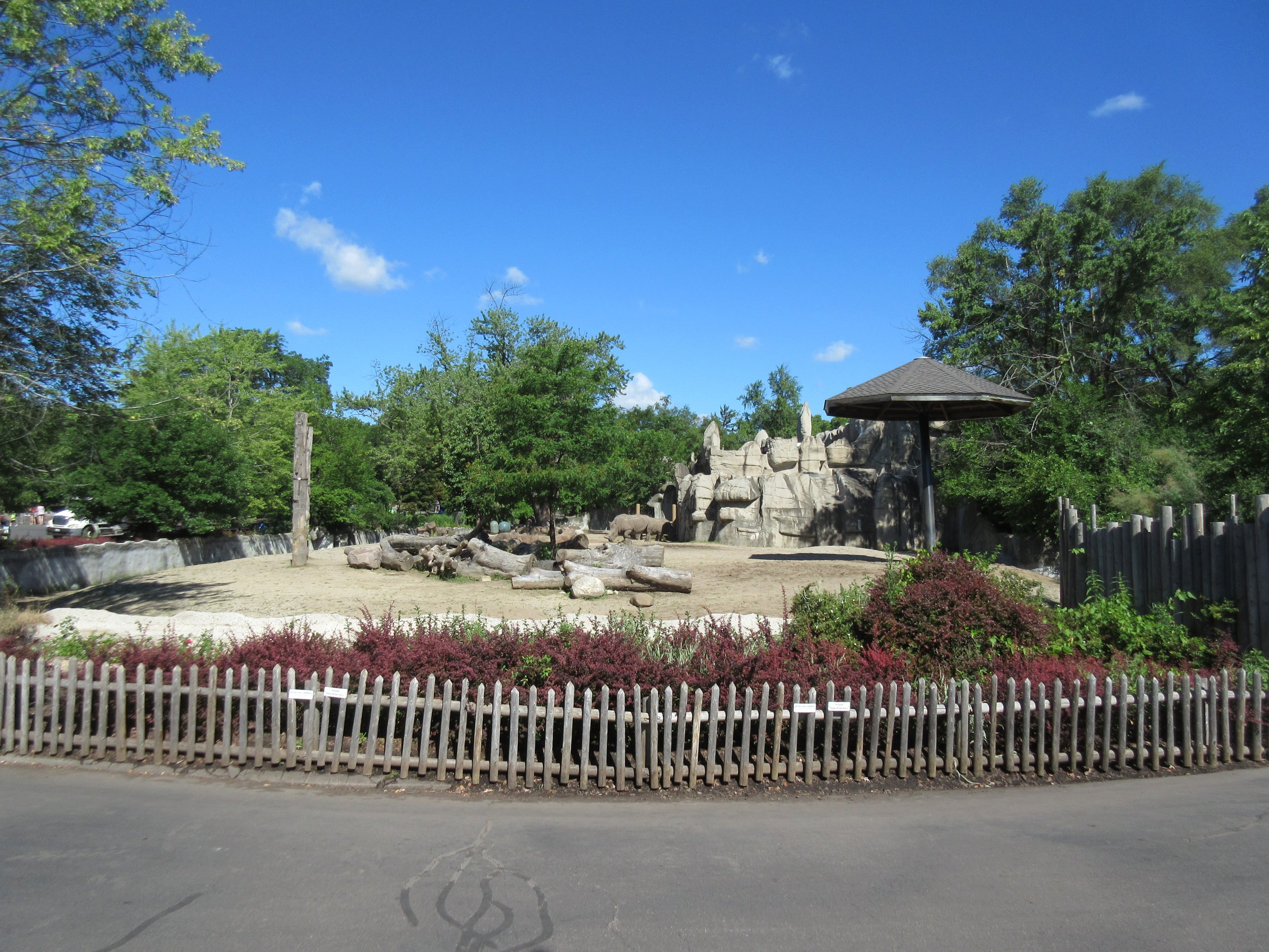 White Rhino Exhibit (old elephant yard)