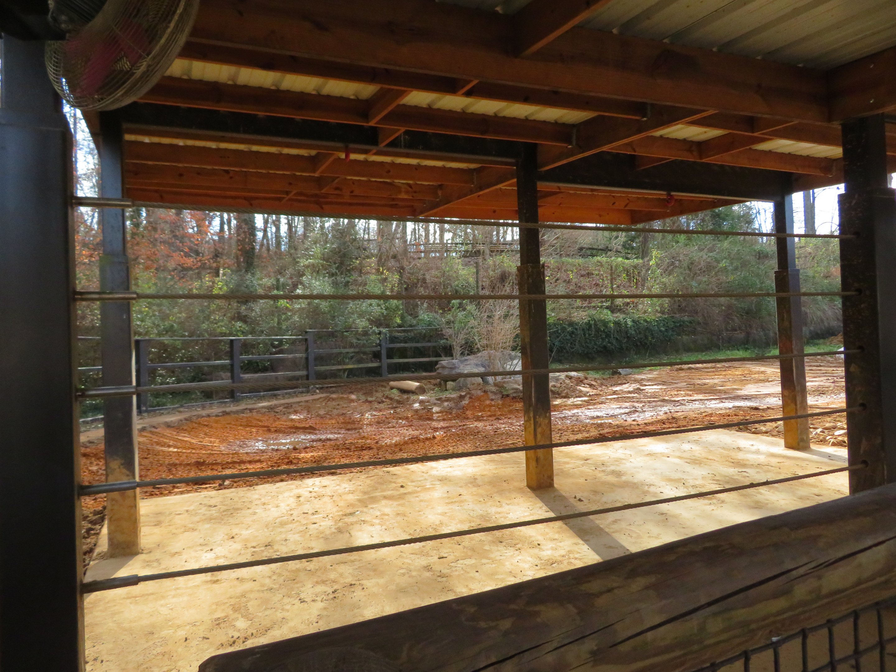 White Rhino Exhibit (Part)