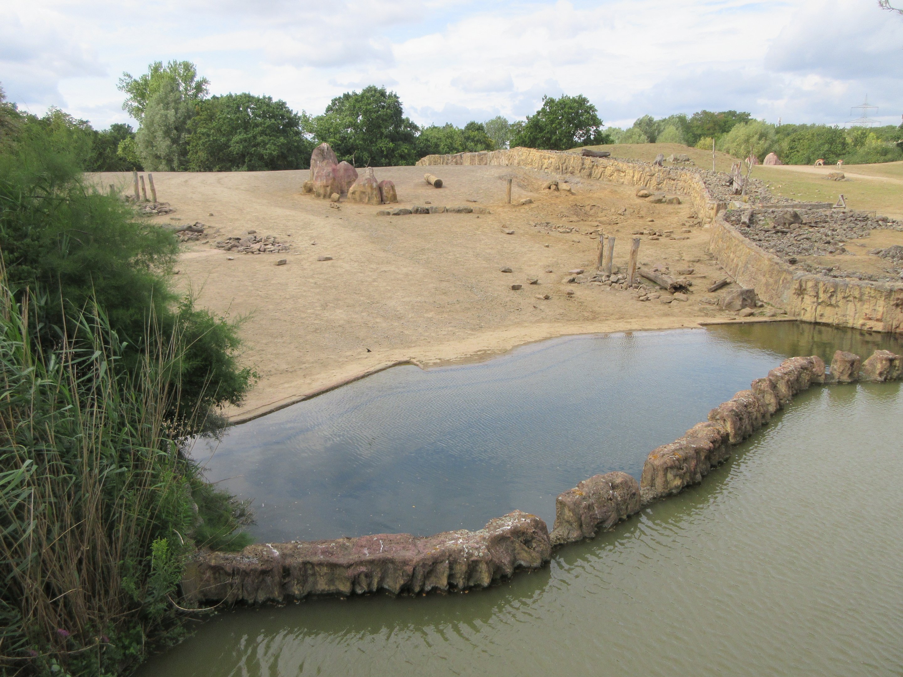 White Rhino Exhibit - Pool