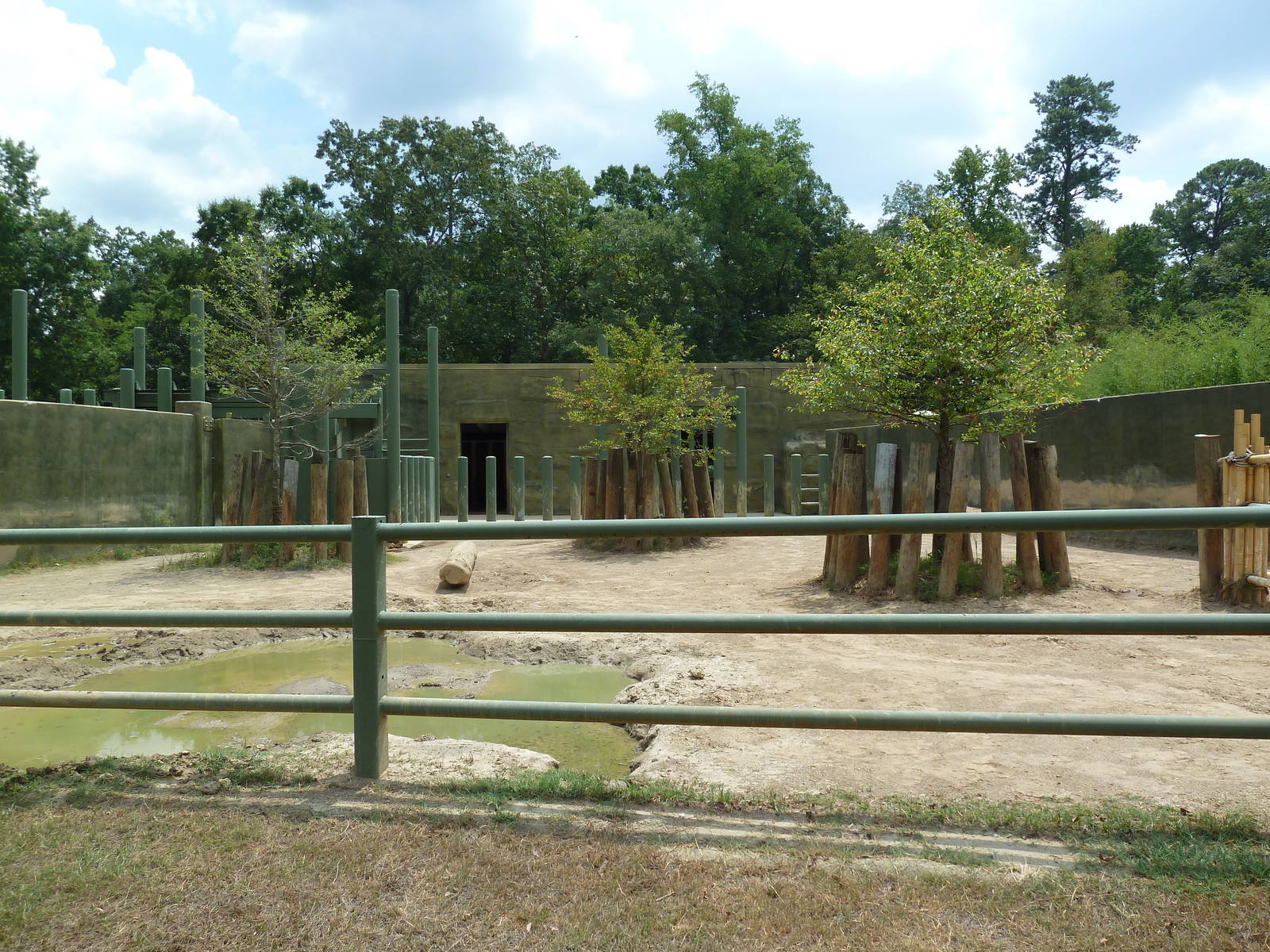 White Rhino Exhibit