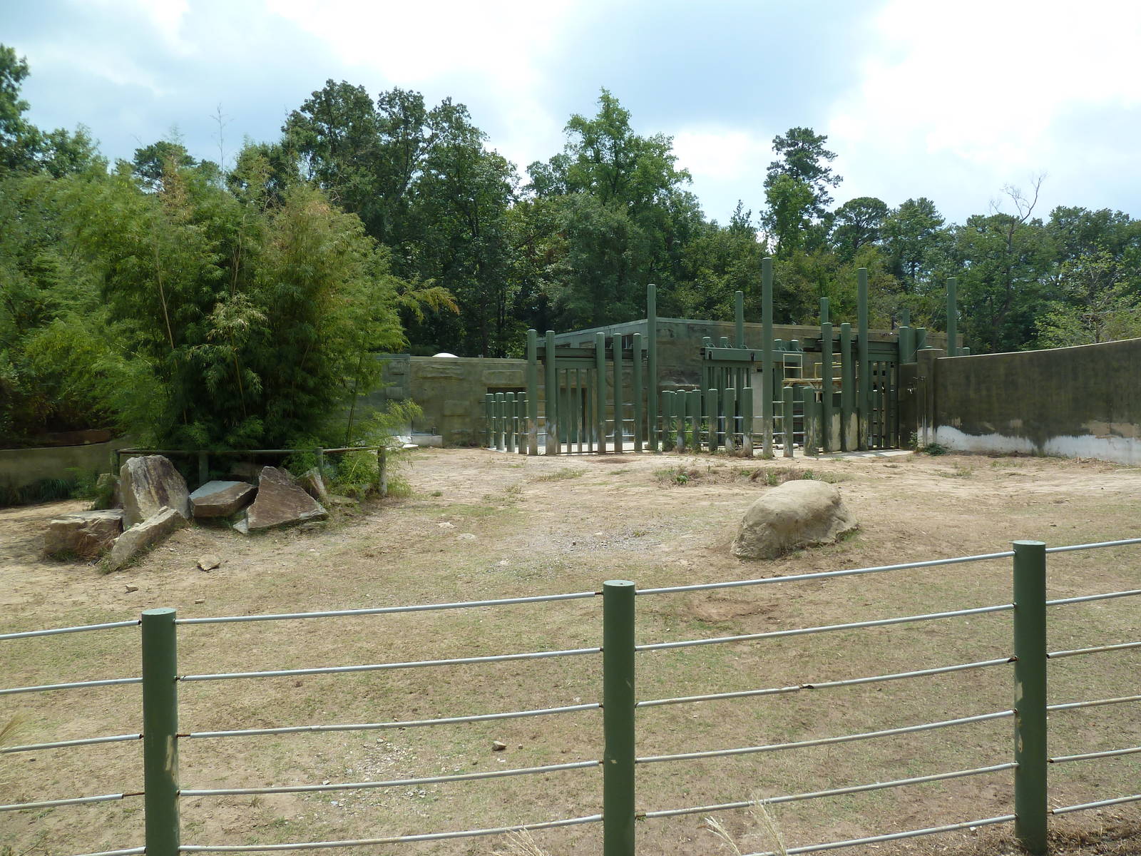 White Rhino Exhibit
