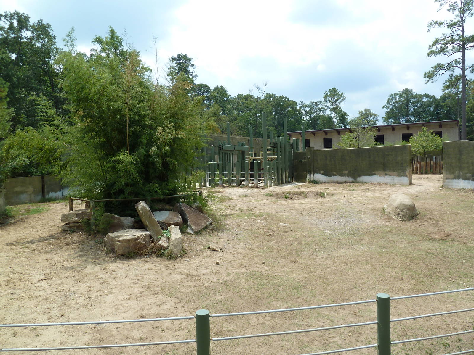White Rhino Exhibit