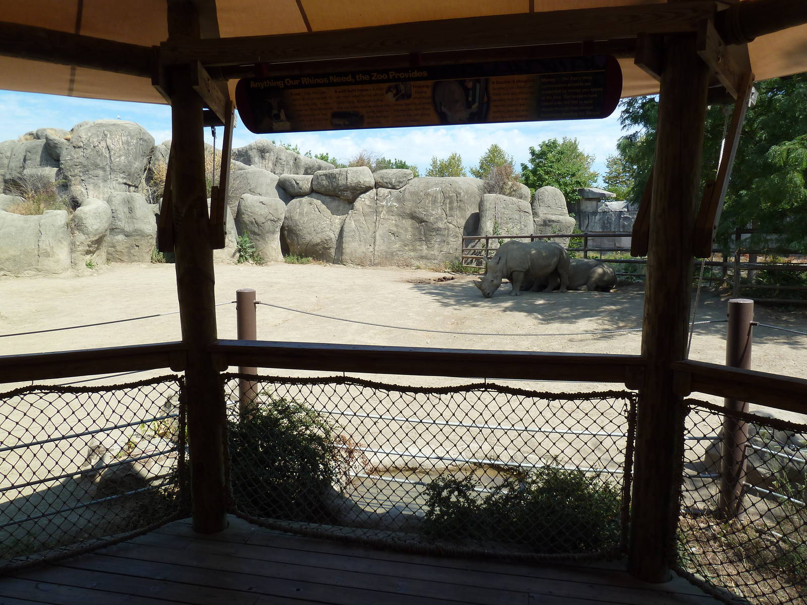 White Rhino Exhibit