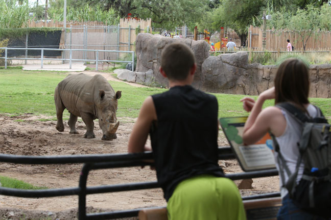 white rhino exhibit
