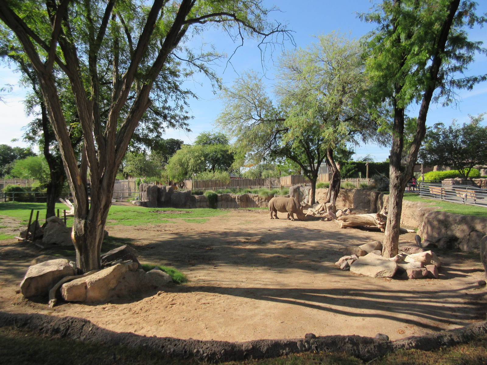 White Rhino Exhibit