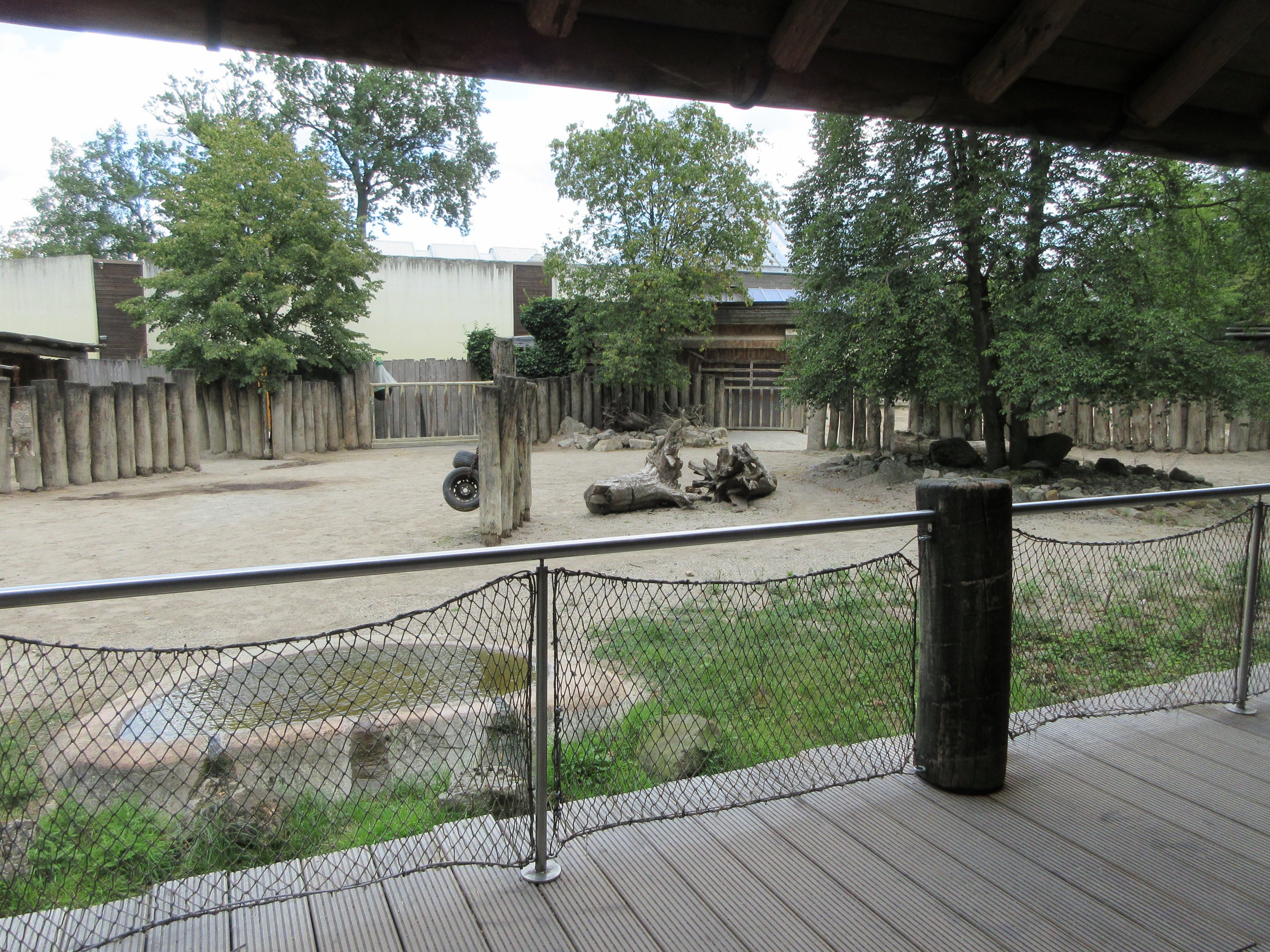 White Rhino Exhibit