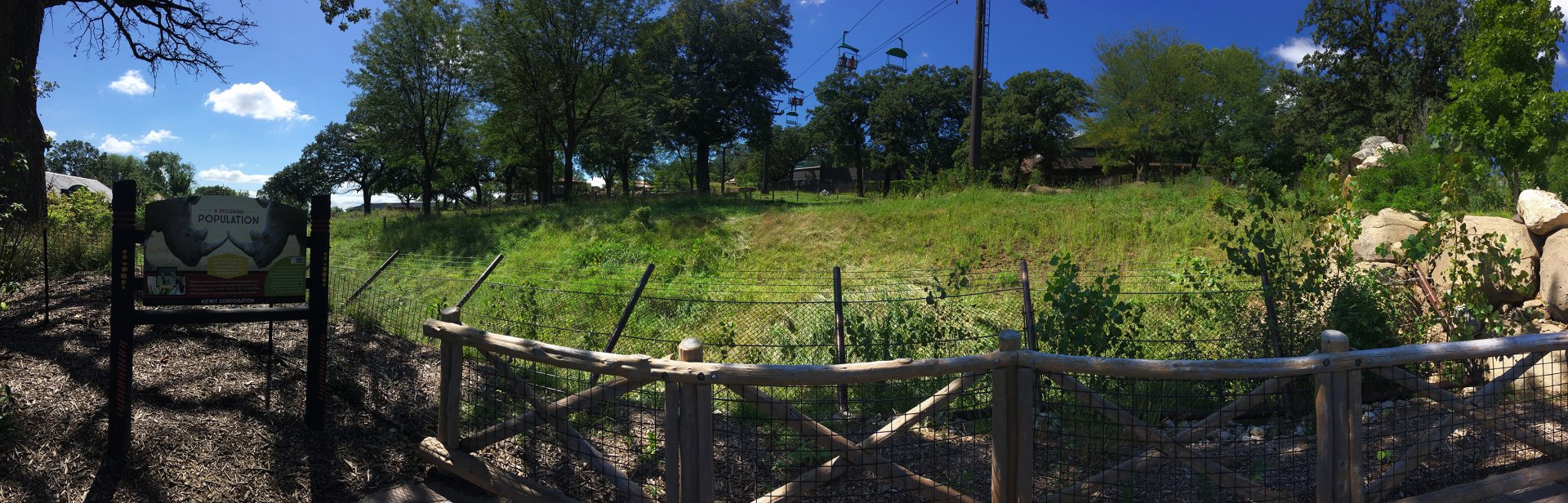 White Rhino Exhibit