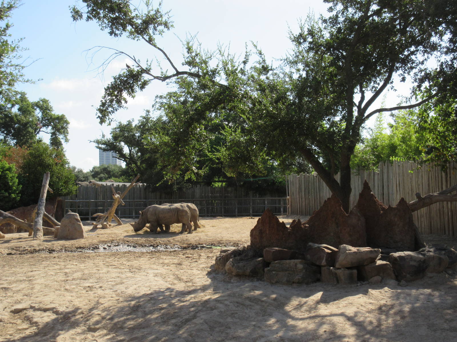 White Rhino/Greater Kudu Exhibit